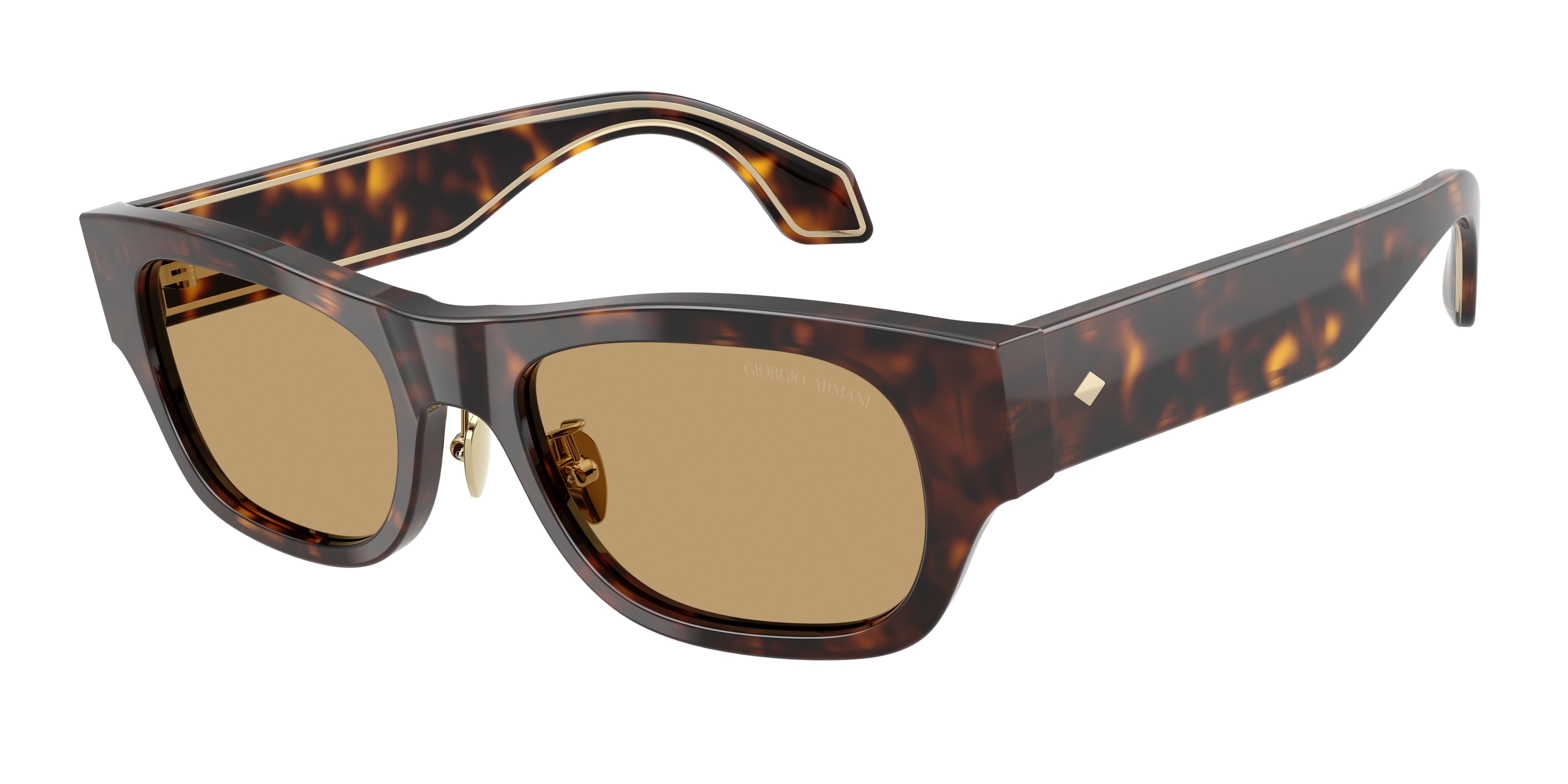 Giorgio Armani AR8224 502673  